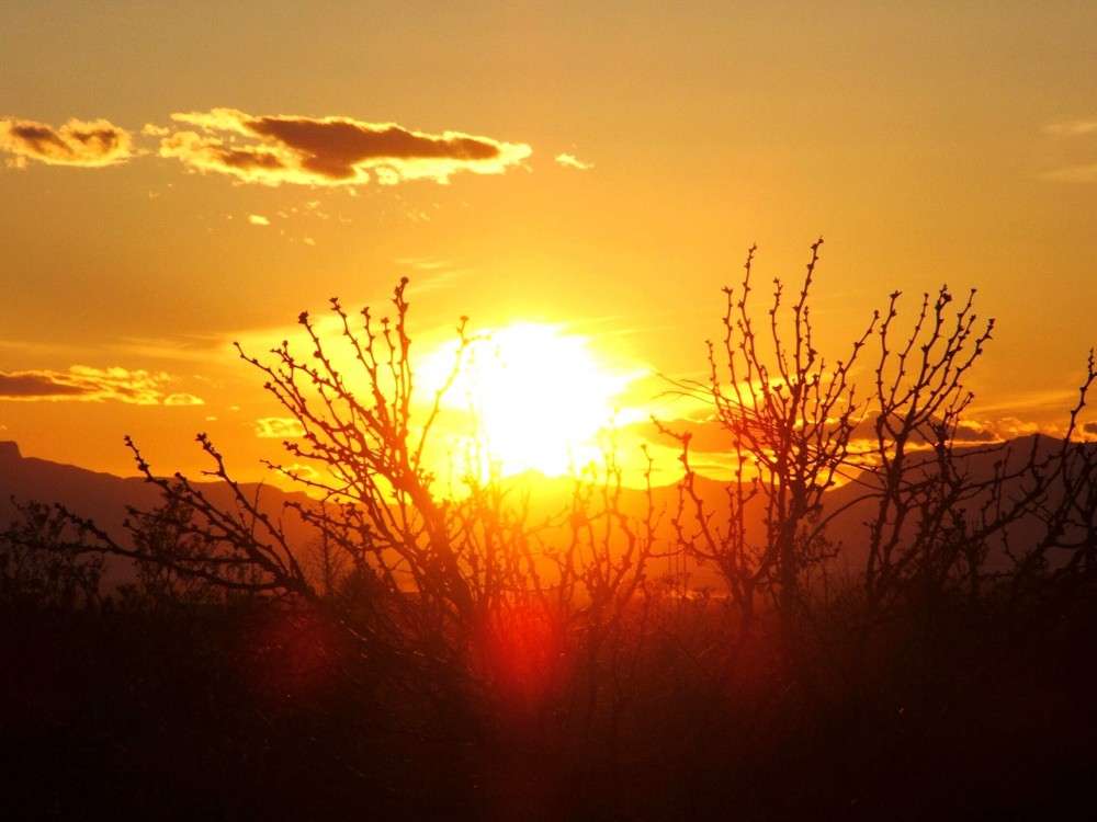 Die Geschichte der Reinkarnation